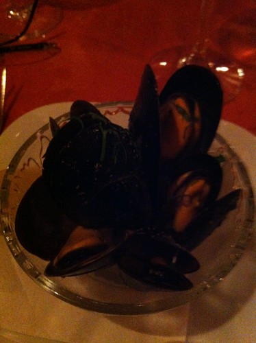 fotografia 2 (8).JPG