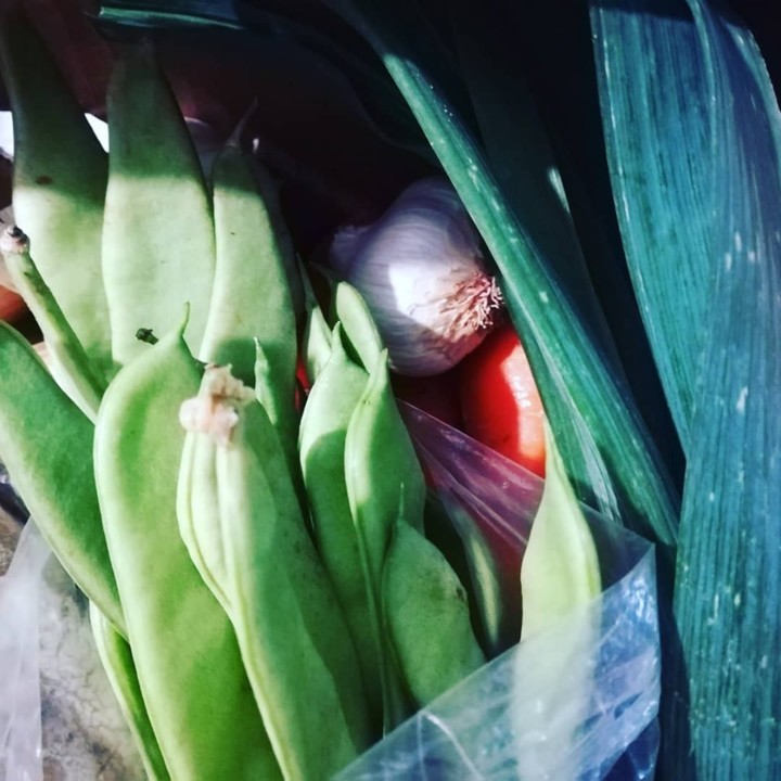 60191996_1363896330416791_8837379993068634112_n.jp