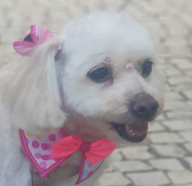 IMG-20220809-WA0003 (2).jpg