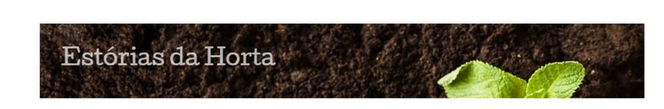 Não me canso disto_blog.JPG