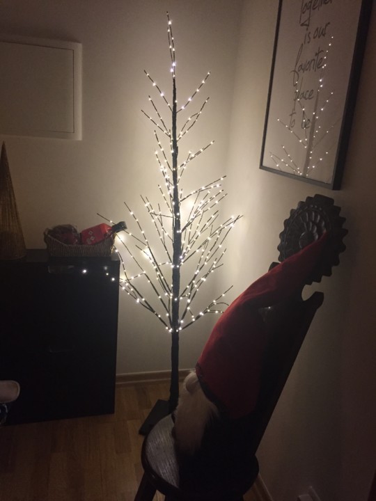 IMG-6217.JPG IMG-6217.JPG