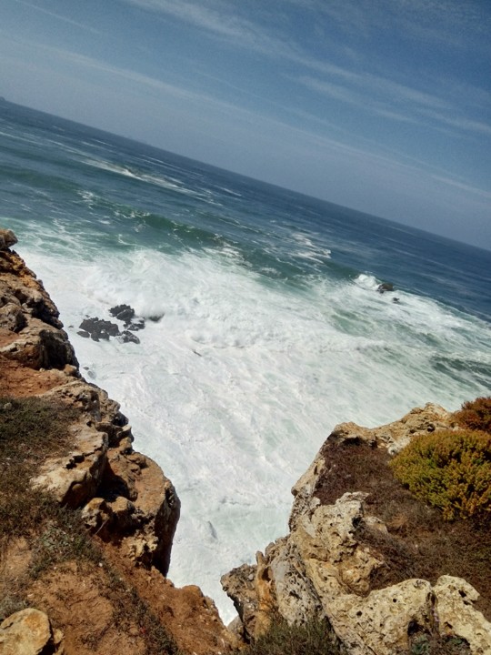 IMG_20190809_153921.jpg IMG_20190809_153921.jpg