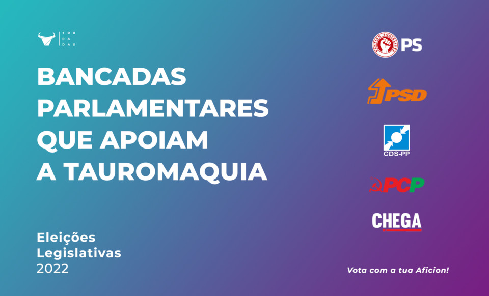 Bancadas Parlamentares.jpeg