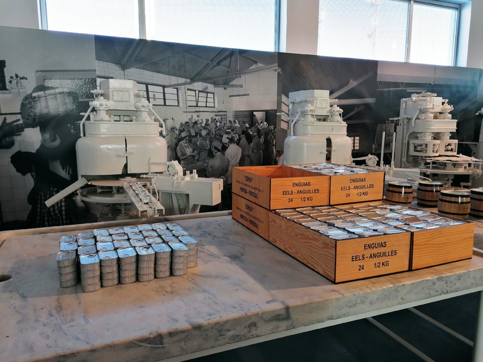 IMG_20200927_170836.jpg IMG_20200927_170836.jpg