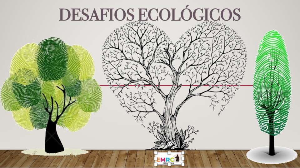 Screenshot at Nov 02 14-11-19.png