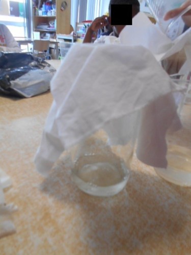 DSCN533811.jpg DSCN533811.jpg