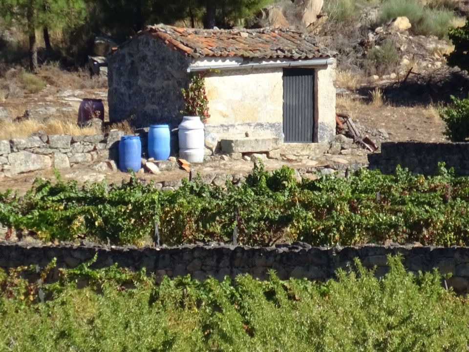 DSC00083.JPG DSC00083.JPG