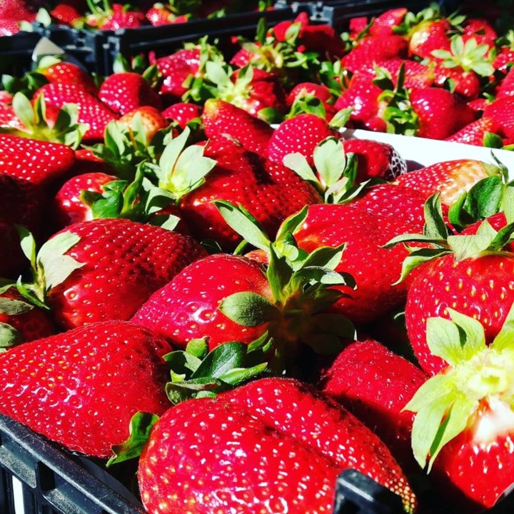 56355339_1339878659485225_4535489815377870848_n.jp