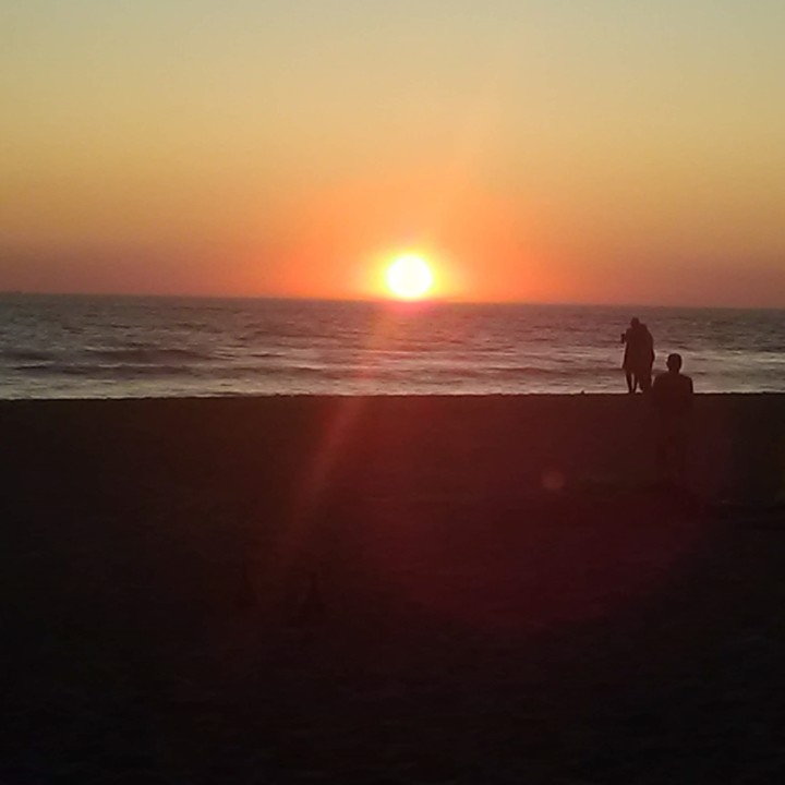 IMG_20190918_141035_037.jpg IMG_20190918_141035_037.jpg