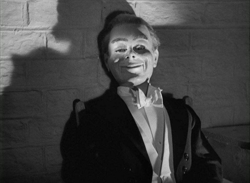 52153211_10213359283273439_3289079375386902528_o.j