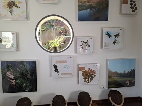 30a_Caminhada_a_Dois_PRU (16).jpg