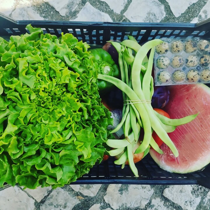 527000792_18492254071066958_1743489134461120703_n.