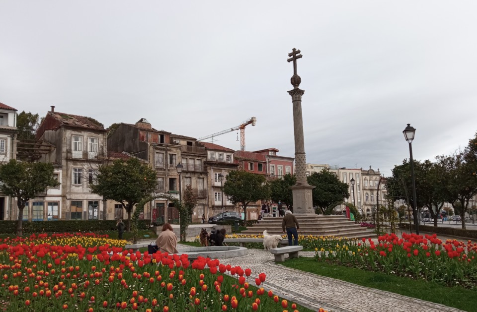 IMG_20210223_121156.jpg IMG_20210223_121156.jpg