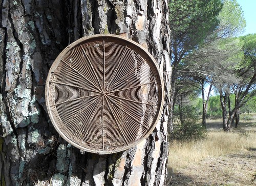 Foto 3.JPG Foto 3.JPG