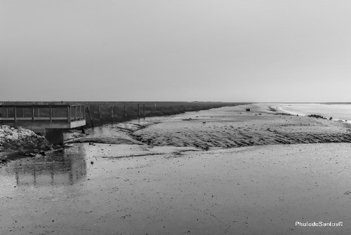 IMG_0332_Monochrome 3.jpg