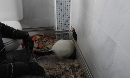 20171212_110829.jpg 20171212_110829.jpg