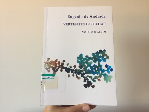 IMG_9314.JPG IMG_9314.JPG