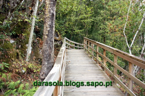 Passarelas_Rio_Mao_13.JPG Passarelas_Rio_Mao_13.JPG