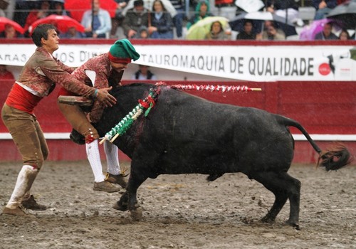 Jorge Santos, com plena ajuda...