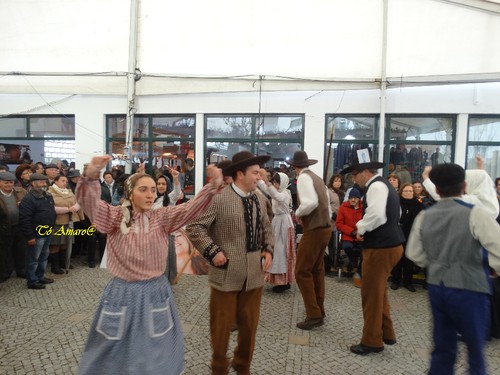 Feira do Queijo Em Seia !!! 542.jpg