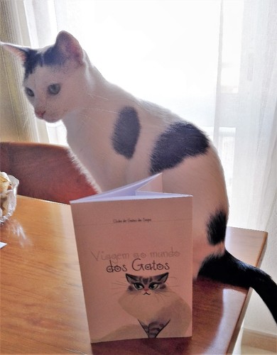 IMG_20170729_193011 (2).jpg IMG_20170729_193011 (2).jpg