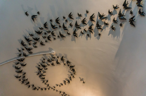 DSC00445.jpg DSC00445.jpg