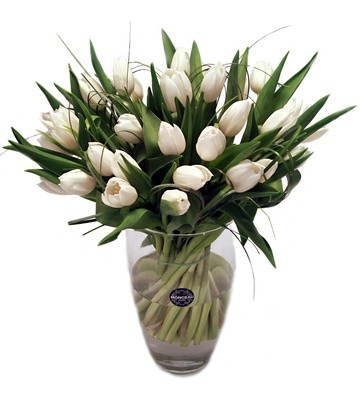 02cfe5c8973c754bc88ac25b840bd03b.jpg 02cfe5c8973c754bc88ac25b840bd03b.jpg