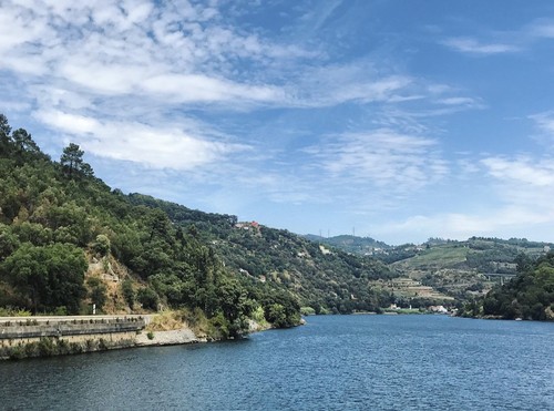 IMG_1376.PNG IMG_1376.PNG