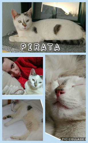 Collage 2017-03-30 20_15_52.jpg