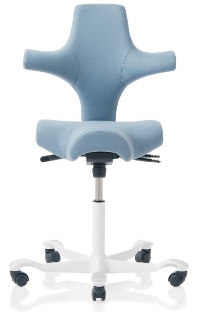 Capisco .jpg Capisco .jpg