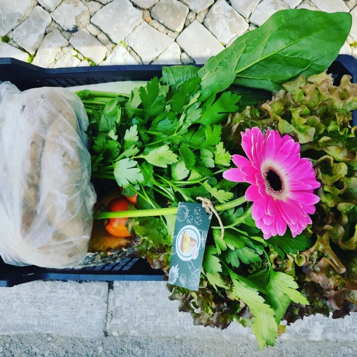 468129222_964997258991018_1755866004415076622_n.jp