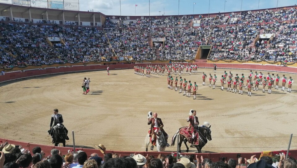 Corrida Santarém-10.06.2023.jpg