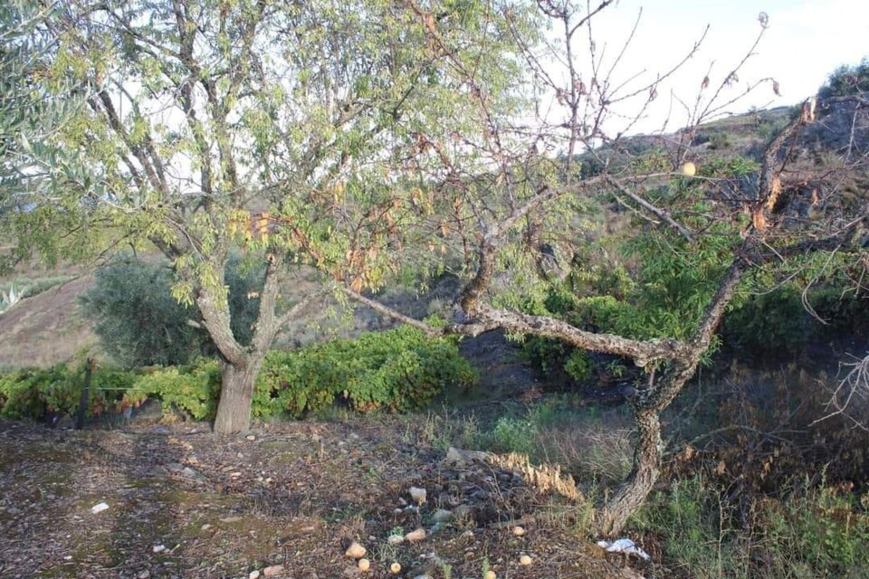 463889265_1308577203888647_5264633742708640484_n.j