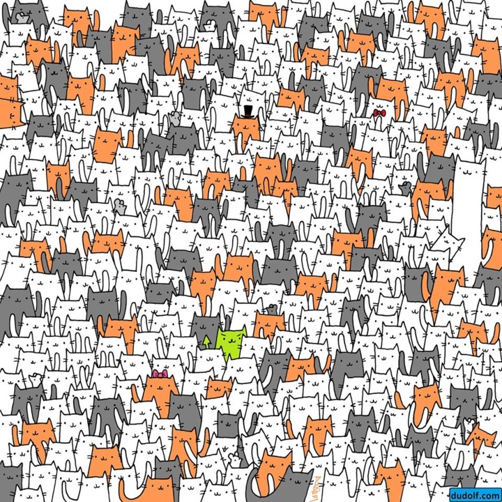 36228751_1421872481247993_3997333136198336512_o.jp 36228751_1421872481247993_3997333136198336512_o.jp