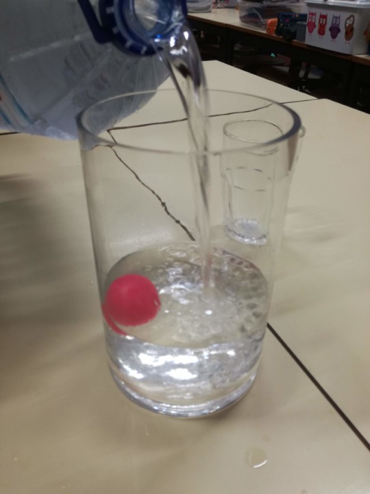 IMG_20200130_153240.jpg IMG_20200130_153240.jpg