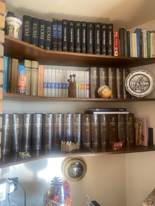 Inutilidades livros.jpg