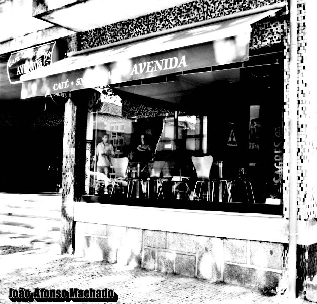 AVENIDA (preto e branco).JPG