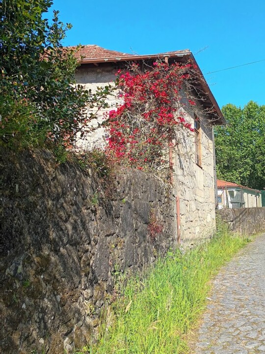 Não me canso disto trail5.jpg