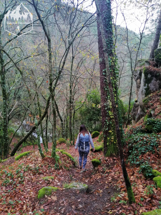 Photo_1582917380821.jpg Photo_1582917380821.jpg