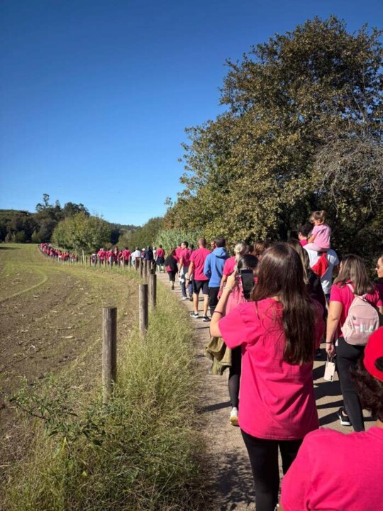 571178387_829576899821693_7873538468389767229_n.jp