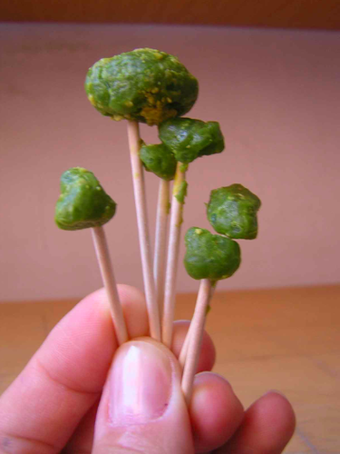 Capa do blog LH.png Capa do blog LH.png