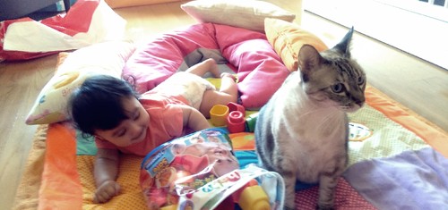 IMG_20150709_152907.jpg IMG_20150709_152907.jpg