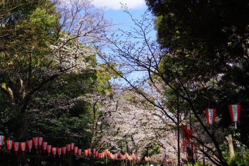 29571272_10216094708990566_4709738752026643995_n.j