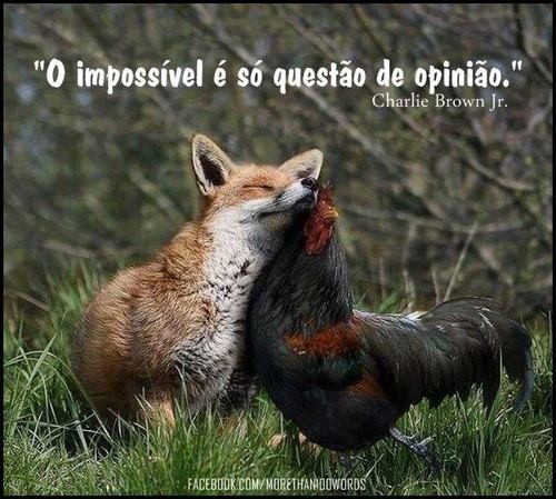 impossivel3.jpg impossivel3.jpg