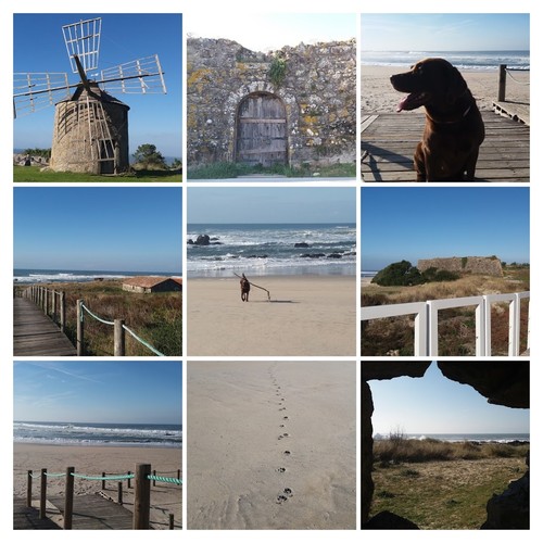 20161220_121142-COLLAGE.jpg 20161220_121142-COLLAGE.jpg