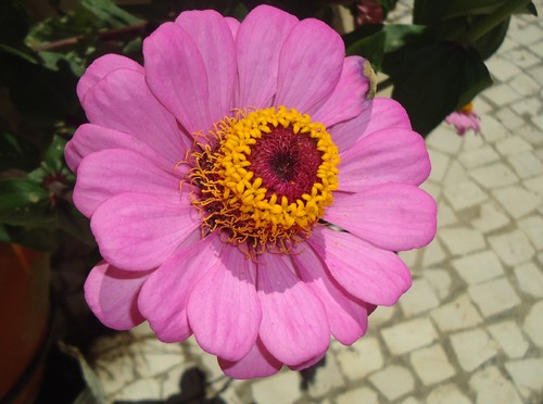 DSC06404.JPG DSC06404.JPG