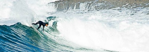 reditus.jpg reditus.jpg