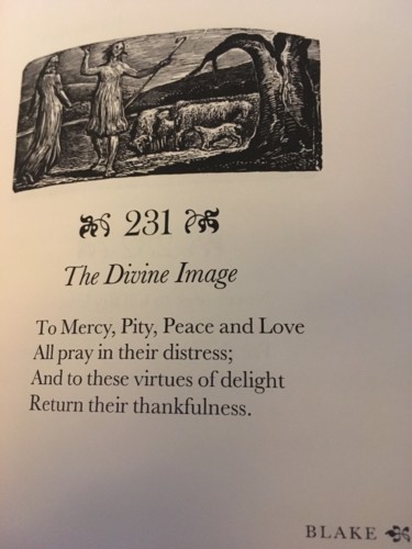 IMG_2575.JPG IMG_2575.JPG