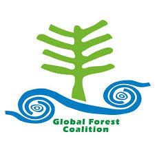 global.jpg global.jpg