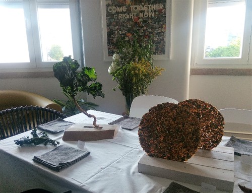 IMG_20160520_192713 (2).jpg